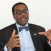 AfDB Group president garners global support for Africa AfDB Group president garners global support for Africa