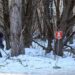 Ukrainian officials say retreating Russian forces left booby traps including explosives in car trunks, washing machines, and under dead bodies Ukrainian officials say retreating Russian forces left booby traps including explosives in car trunks, washing machines, and under dead bodies