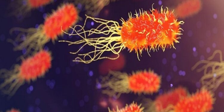 Science News Roundup: Bacteria with antibiotic resistant genes discovered in Antarctica, scientists say; Ghana startup strives for greater African representation in cancer research and more Science News Roundup: Bacteria with antibiotic resistant genes discovered in Antarctica, scientists say; Ghana startup strives for greater African representation in cancer research and more