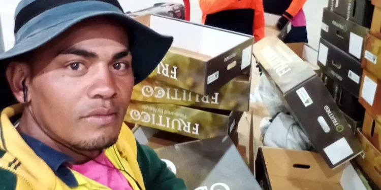 Fruit picker told to expect jail after being filmed beating cat to death Fruit picker told to expect jail after being filmed beating cat to death