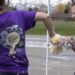 Car wash collects thousands for teacher in South Africa | Features Car wash collects thousands for teacher in South Africa | Features