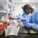 Namibia reports spike in daily positive COVID-19 cases