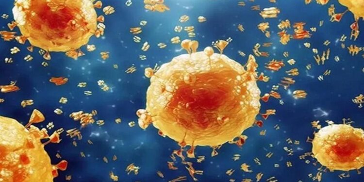 Ghana Health Service issues red alert to the public against Hanz virus