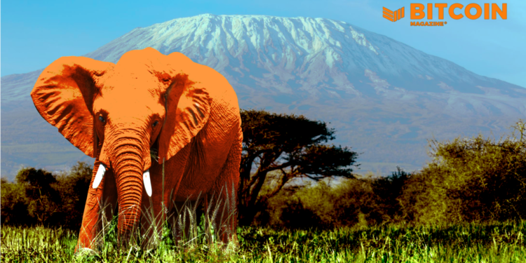 Bitcoin Solves Unemployment In Africa Bitcoin Solves Unemployment In Africa