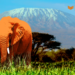 Bitcoin Solves Unemployment In Africa