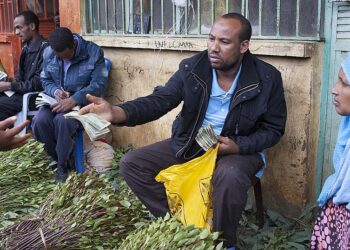 Kenya to restart khat exports to Somalia after two years