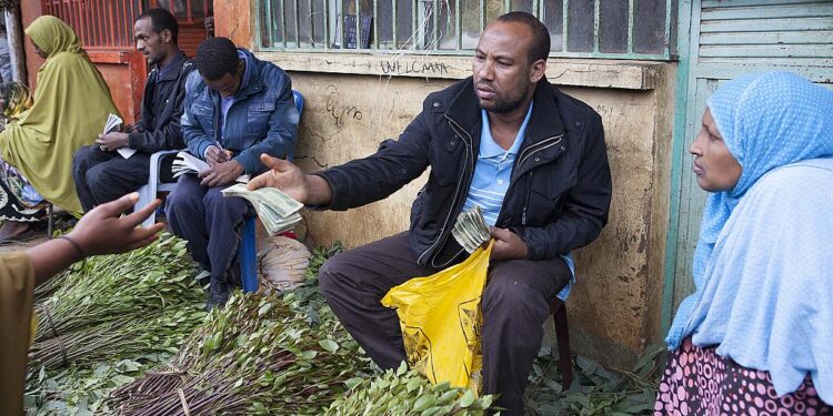 Kenya to restart khat exports to Somalia after two years