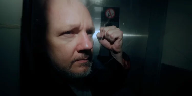 Albanese should be ‘picking up the phone’ to get Julian Assange home