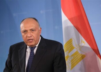 Establishing ‘Arab NATO’ is not possible at current stage: Egypt’s FM – Politics – Egypt