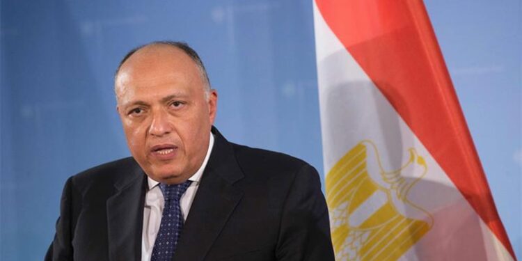 Establishing ‘Arab NATO’ is not possible at current stage: Egypt’s FM – Politics – Egypt