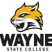 Wayne State’s Fiene named All-American | Sports Wayne State’s Fiene named All-American | Sports