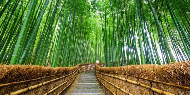 Is there a place for ESG in South Africa? Is there a place for ESG in South Africa?