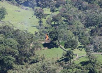 Indigenous Sengwer say Western conservation funding will lead to “genocide“