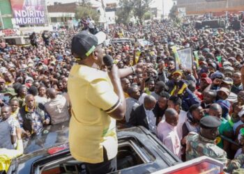 “Wee Bwana Kitendawili chanuka,” DP Ruto tells Raila over archaic agenda » Capital News