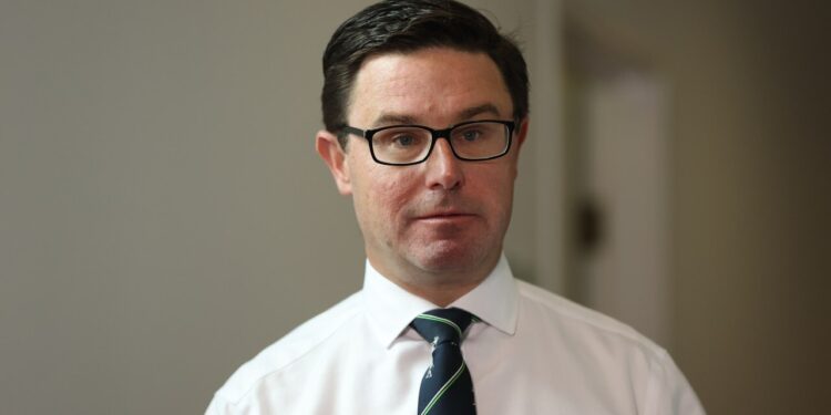 Nationals leader David Littleproud says it would be ‘insanity’ for Australia to sign on to plan to cut methane emissions