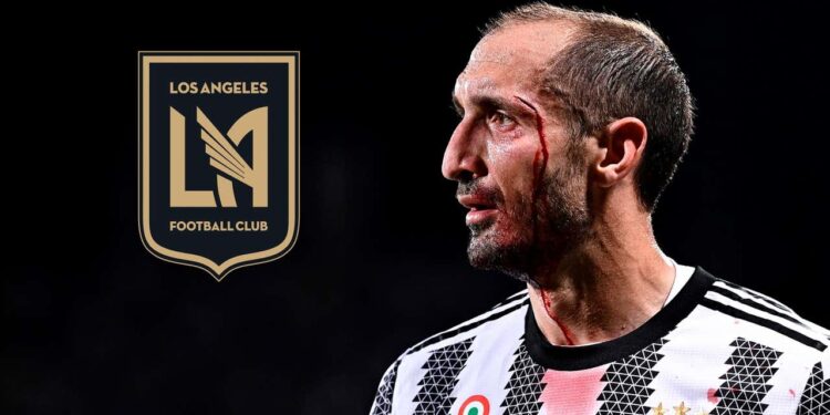 ‘MLS not the best league for defenders’ – Will LAFC’s Chiellini gamble pay off? ‘MLS not the best league for defenders’ – Will LAFC’s Chiellini gamble pay off?
