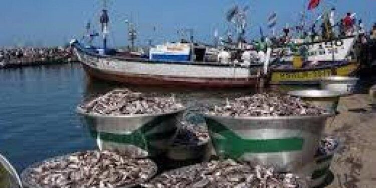Workshop on combating fishing malpractices held for stakeholders Workshop on combating fishing malpractices held for stakeholders