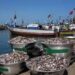 Workshop on combating fishing malpractices held for stakeholders Workshop on combating fishing malpractices held for stakeholders