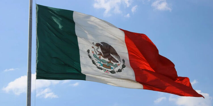 Journalist murdered in Mexico, 12th this year | The Guardian Nigeria News