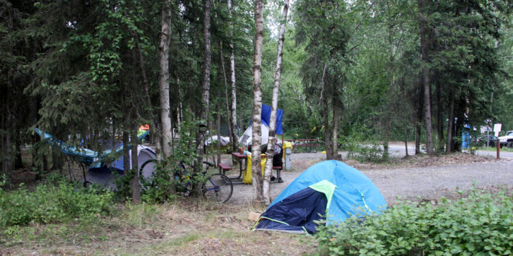 Alaska Kills 4 Bears That Entered Campground
