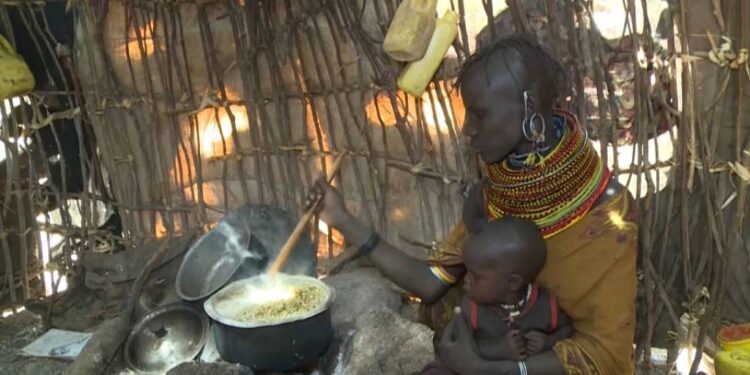 Drought in northern Kenya causing millions to face starvation Drought in northern Kenya causing millions to face starvation