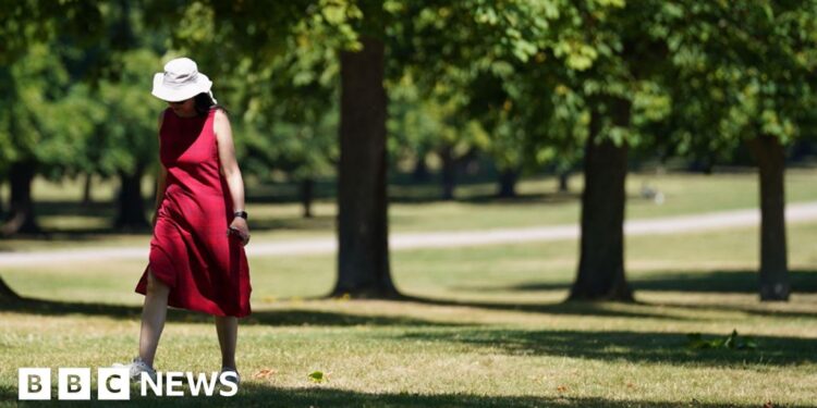 Heatwave: National emergency declared after UK's first red extreme heat warning – BBC