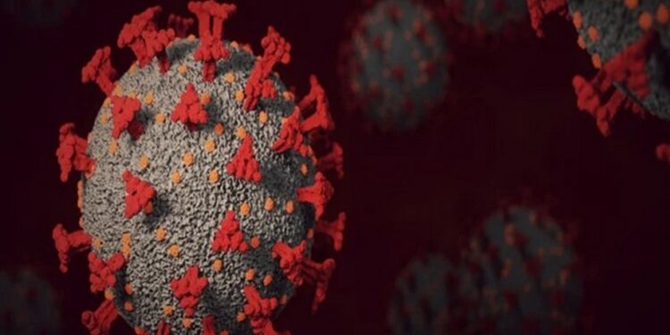 Health News Roundup: China’s Shanghai says new Omicron subvariant found; Kenya, World Health Organization launch emergency hub and more