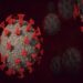 Health News Roundup: China’s Shanghai says new Omicron subvariant found; Kenya, World Health Organization launch emergency hub and more