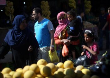 New Zealand bishops urge action to end Palestinian suffering in Holy Land