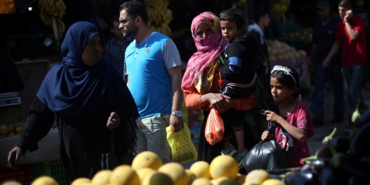 New Zealand bishops urge action to end Palestinian suffering in Holy Land