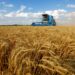 Egypt cancels contracts for 240,000 tonnes of stranded Ukrainian wheat Egypt cancels contracts for 240,000 tonnes of stranded Ukrainian wheat