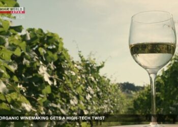 Organic Winemaking Get a High-Tech Twist – NHK WORLD