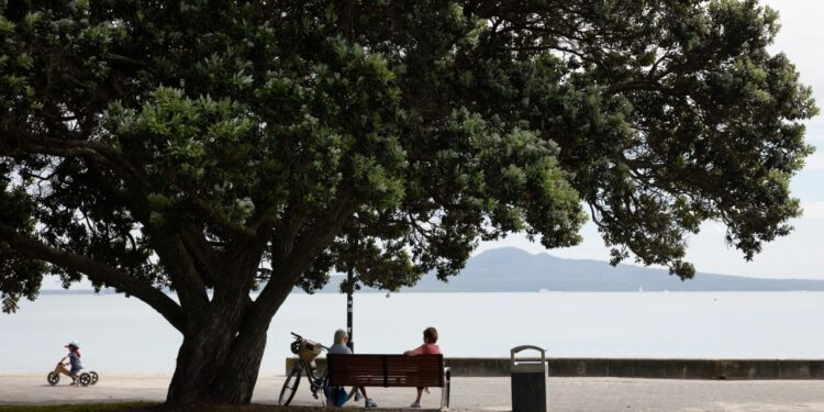 New Zealand Covid-19 death rate at record levels New Zealand Covid-19 death rate at record levels