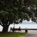 New Zealand Covid-19 death rate at record levels