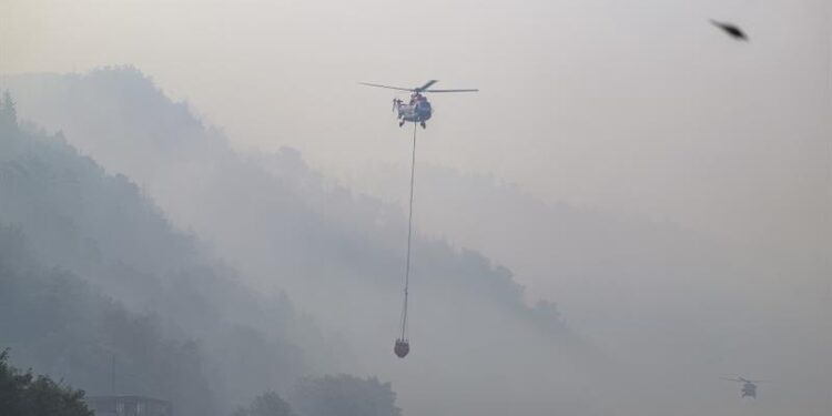 Wildfires in Germany, Czechia threatening tourist region – International – World Wildfires in Germany, Czechia threatening tourist region – International – World