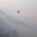 Wildfires in Germany, Czechia threatening tourist region – International – World Wildfires in Germany, Czechia threatening tourist region – International – World
