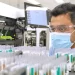 Almost half of Australians had a recent case of COVID in June, blood testing finds Almost half of Australians had a recent case of COVID in June, blood testing finds