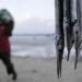 Climate Kenya Tuna Overfishing | National News