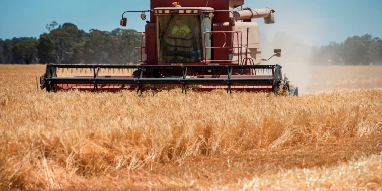 ‘You pay for it’: Joyce criticises farming restrictions ‘You pay for it’: Joyce criticises farming restrictions