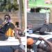 Another Poll Shows Ruto Losing Popularity to Wajackoyah