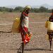 USAID to give Kenya 5 mln for drought: administrator USAID to give Kenya 5 mln for drought: administrator