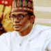 Flood cuts off Gulani LGA from Yobe – Buni | The Guardian Nigeria News
