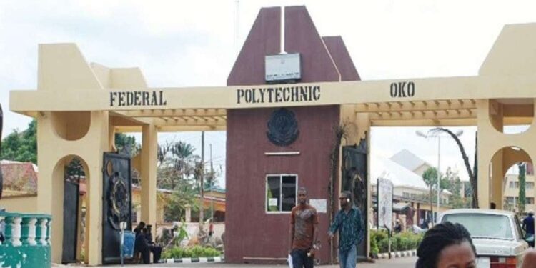 Commission, Oko Federal Poly struggle over registrar position | The Guardian Nigeria News Commission, Oko Federal Poly struggle over registrar position | The Guardian Nigeria News