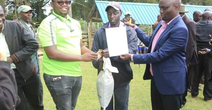Reintroduction of pyrethrum farming rolled out in Elgeyo Marakwet – Kenya News Agency Reintroduction of pyrethrum farming rolled out in Elgeyo Marakwet – Kenya News Agency