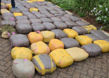 NACADA insists marijuana still prohibited amid calls to legalize it » Capital News