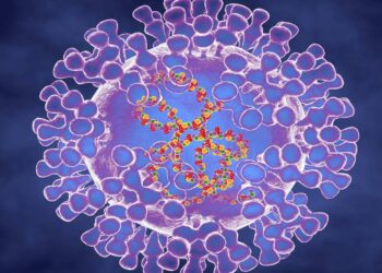 Second monkeypox case confirmed in New Zealand