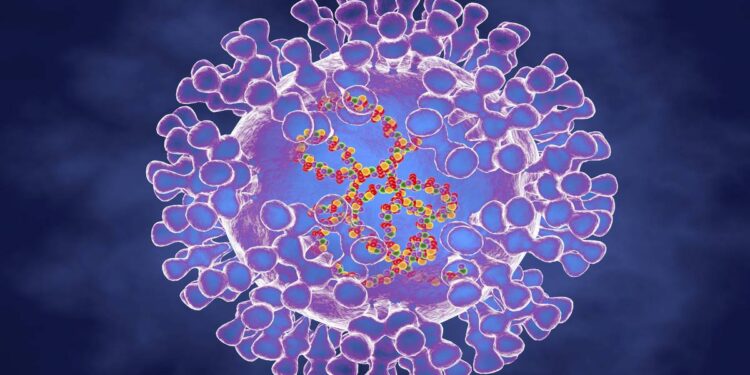 Second monkeypox case confirmed in New Zealand
