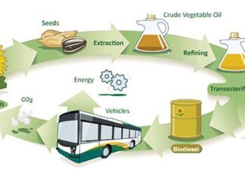 Biofuels in New Zealand – A Solution or a Problem?