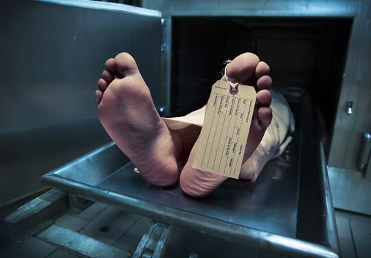 Calf falls off second floor killing 15-year old passerby in Egypt