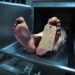Calf falls off second floor killing 15-year old passerby in Egypt